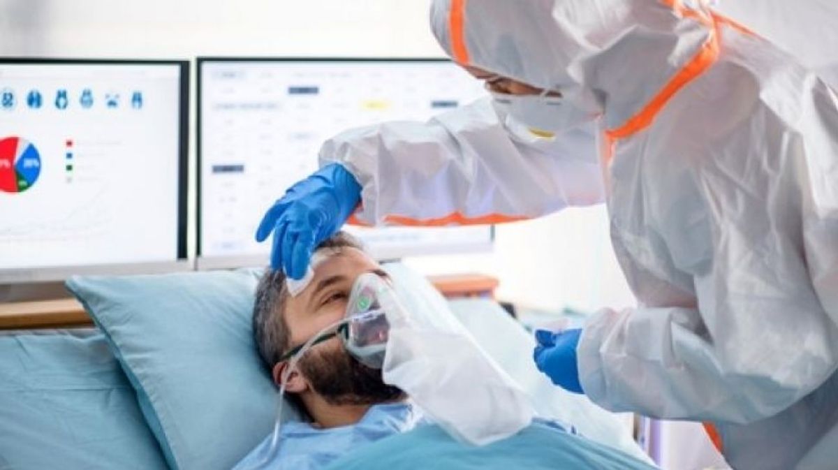 Bedakan Infeksi Hantavirus dan Flu untuk Cegah Risiko Serius