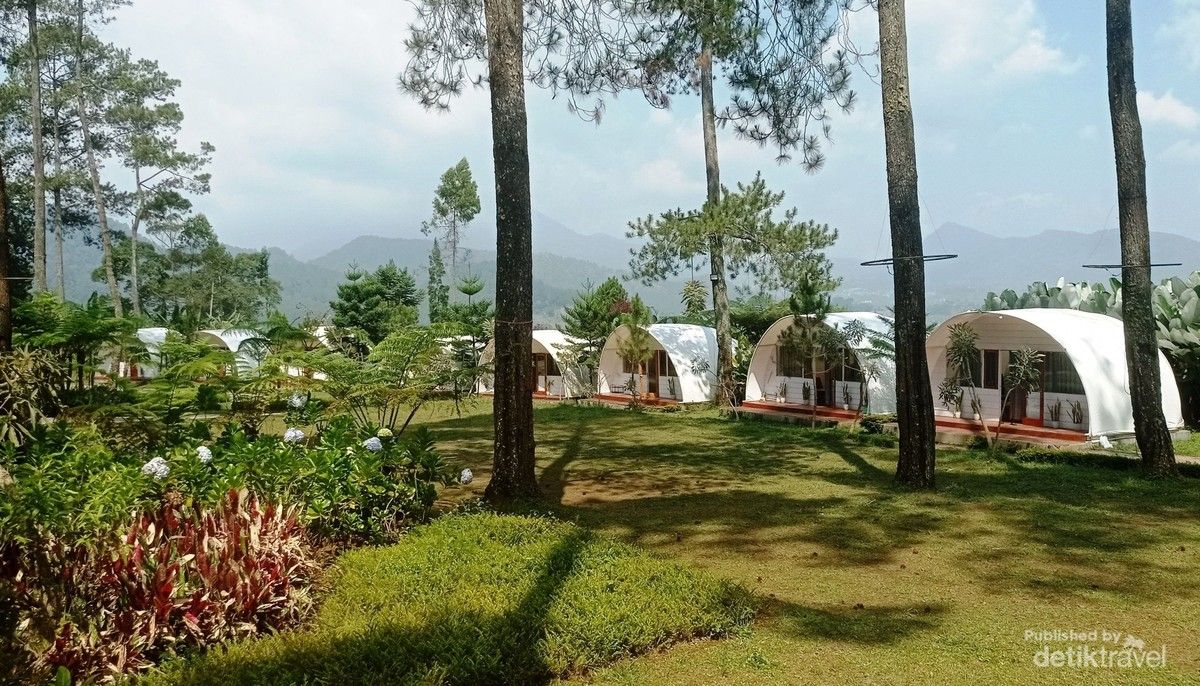 Kebon Pines di Cikole Hadirkan Wisata Alam dan Fasilitas Lengkap untuk Keluarga