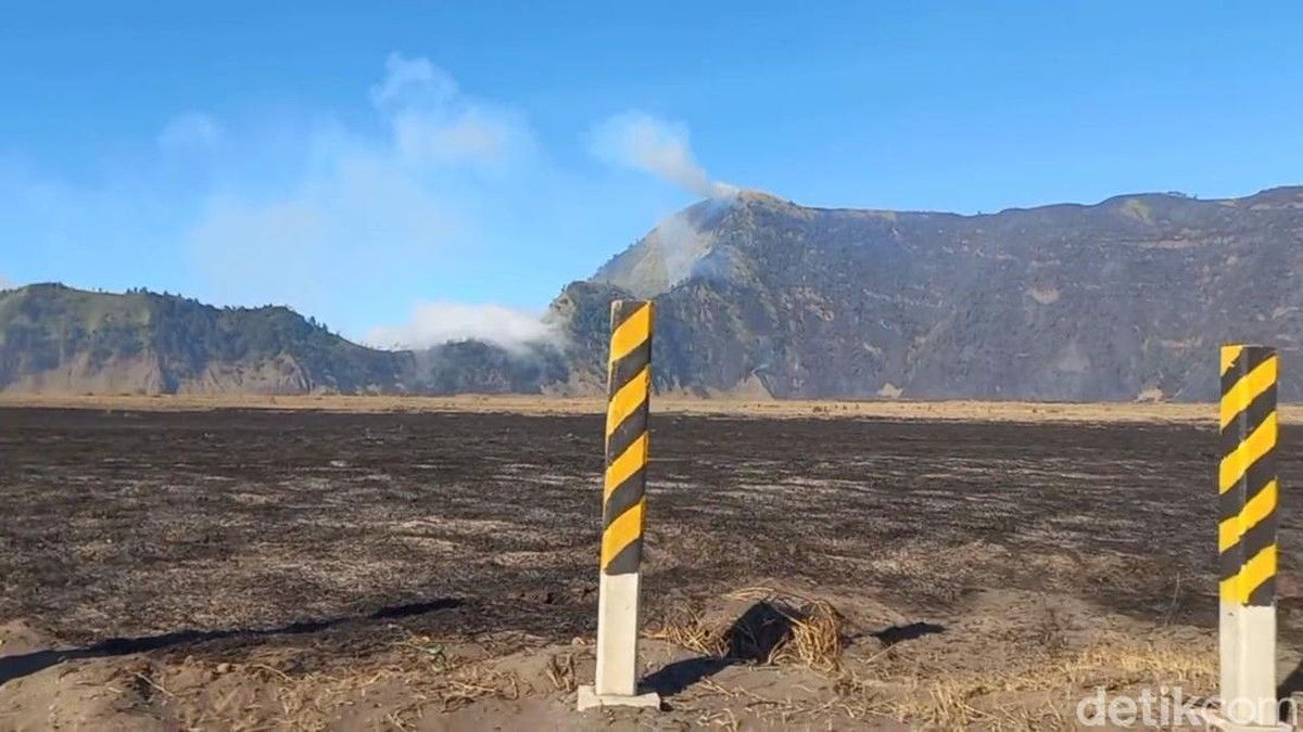 Petugas Pantau Kebakaran di Taman Nasional Bromo Tengger Semeru Jawa Timur