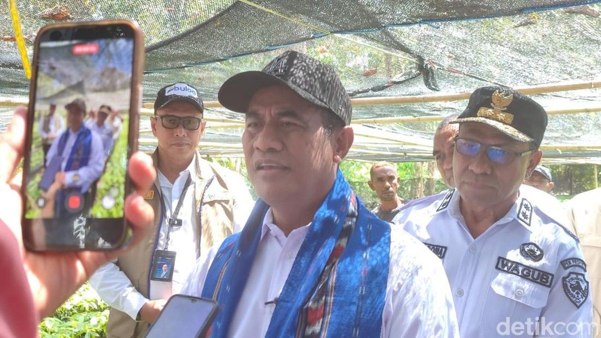 Mentan Amran Pastikan Ketersediaan Beras Aman di Alor NTT