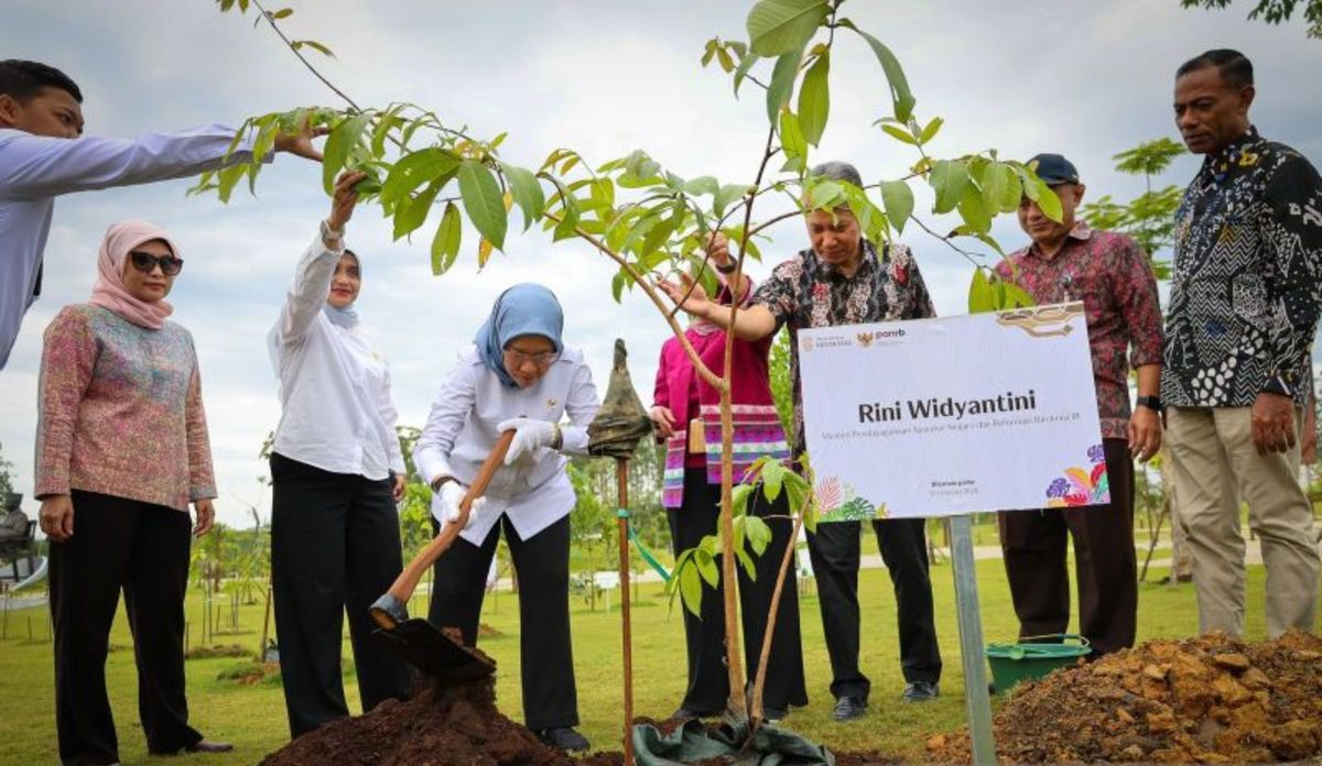 Keuntungan Penghijauan Kota untuk Menurunkan Polusi dan Panas 2026