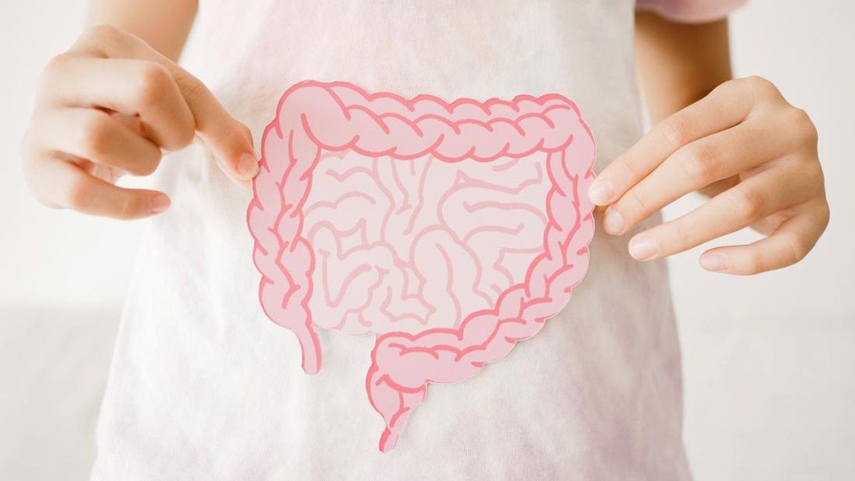 Kurangnya Asupan Serat Picu Risiko Peradangan Usus Buntu