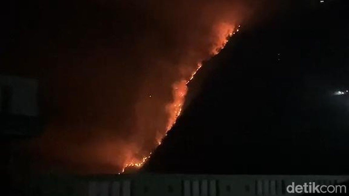Kebakaran Hutan Bromo Tutup Sementara Akses Wisata Sky Bridge dan Seruni Point