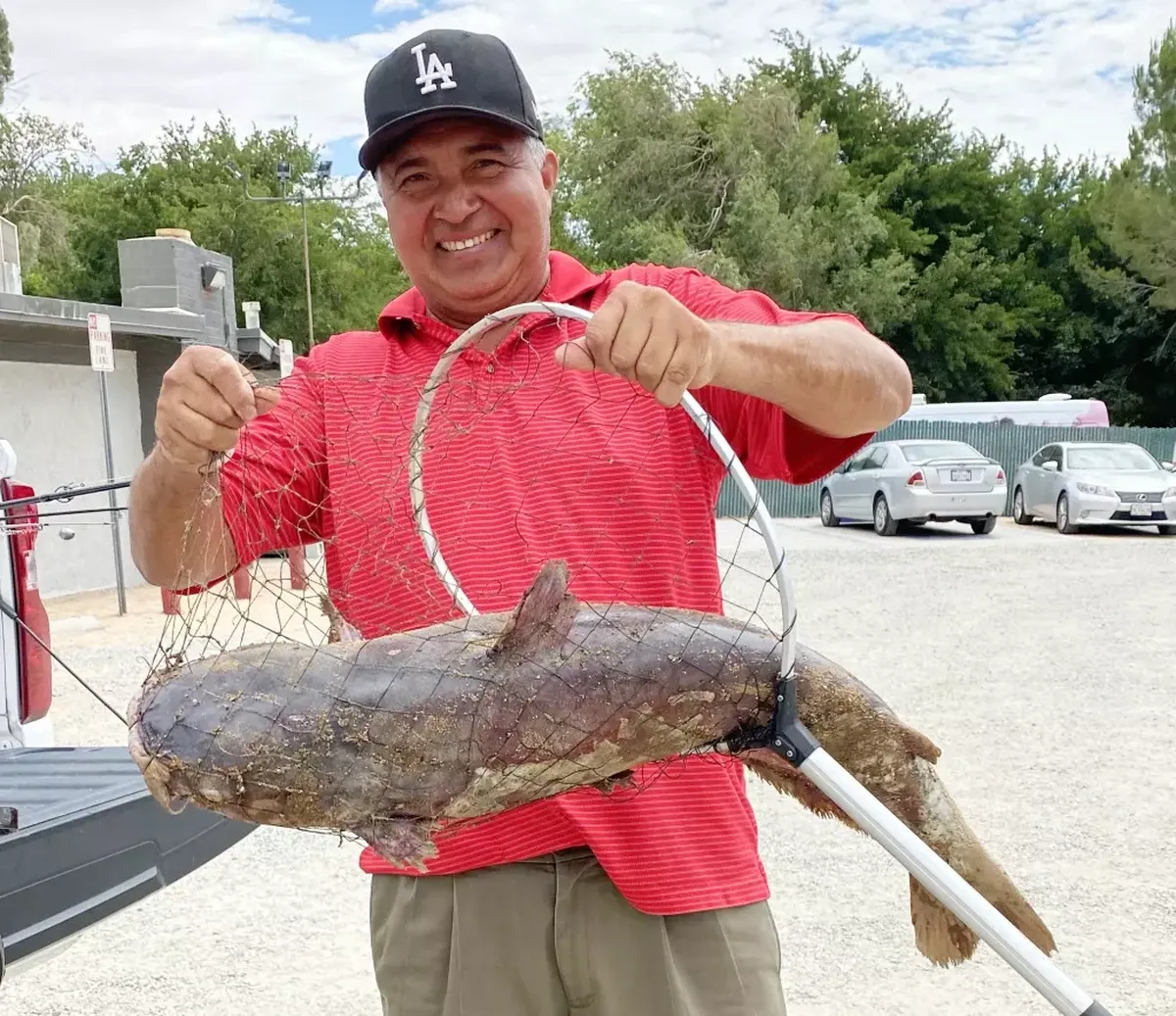 Lele Raksasa Catzilla Bikin Heboh di Danau California