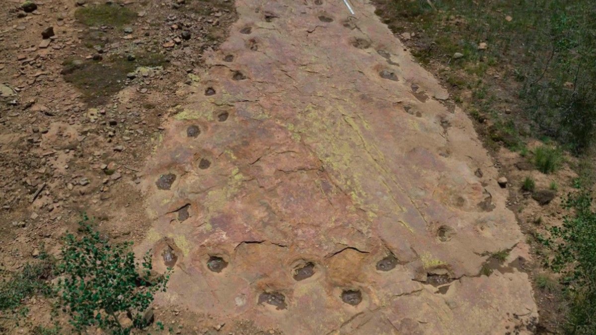 Peneliti Temukan Jejak Kaki Dinosaurus Berputar Hampir Satu Lingkaran di Colorado