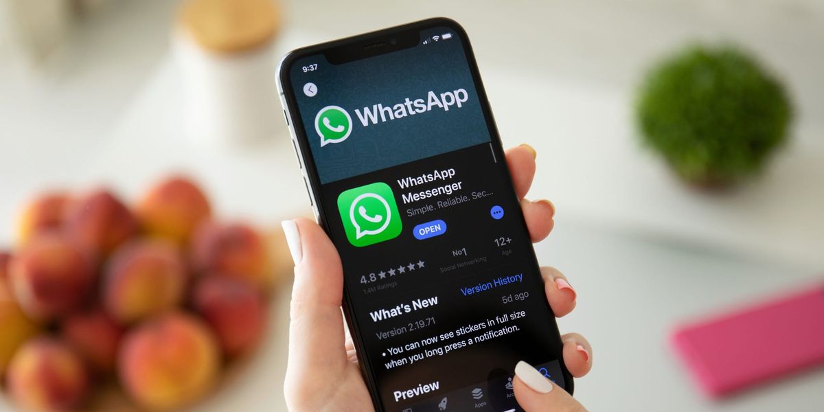 WhatsApp Tambah Fitur @semua dan Polling di Grup