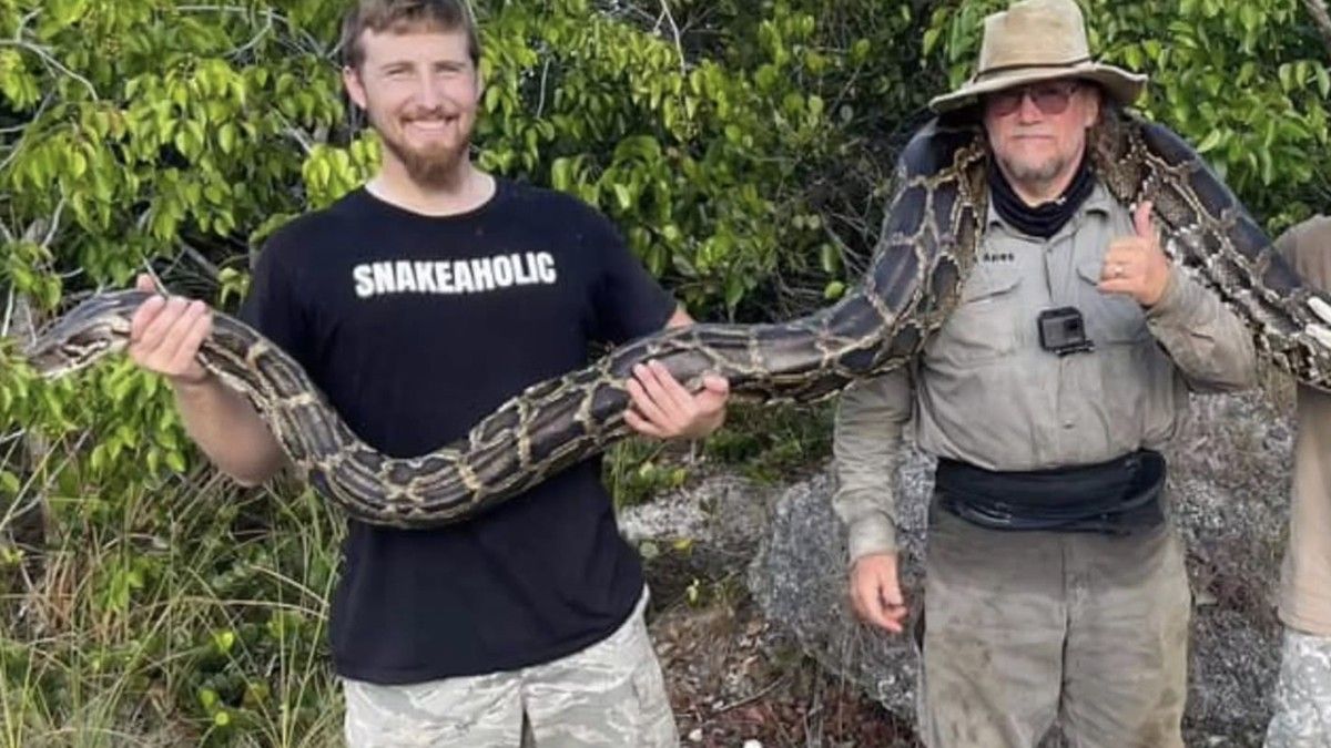 Tom Rahill Menang Florida Python Challenge 2026 dengan 96 Piton