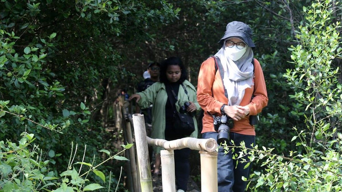 Jakarta Rawat Hutan Mangrove sebagai Penyangga Pesisir dan Ekowisata