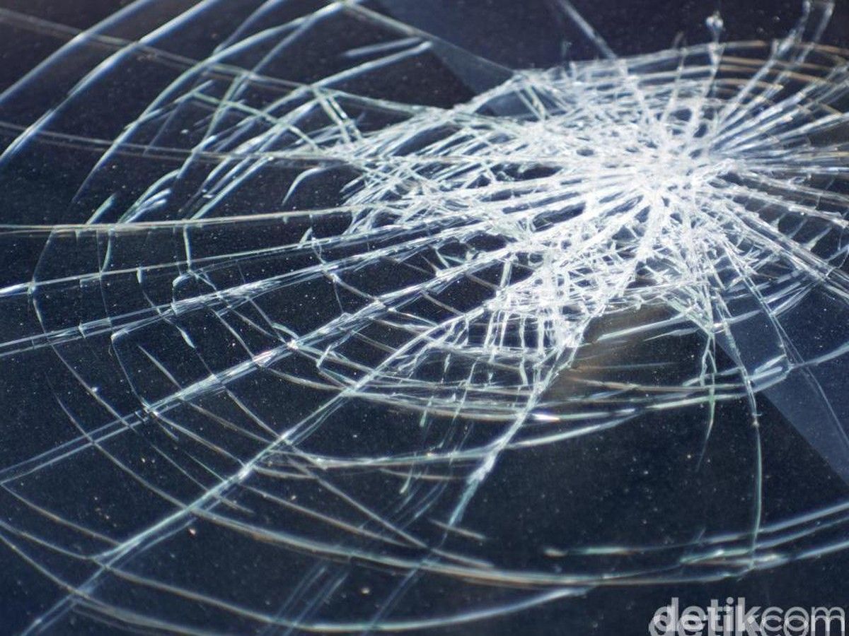 Pohon Tumbang Timpa Mobil Pikap di Pidie, 7 Orang Tewas