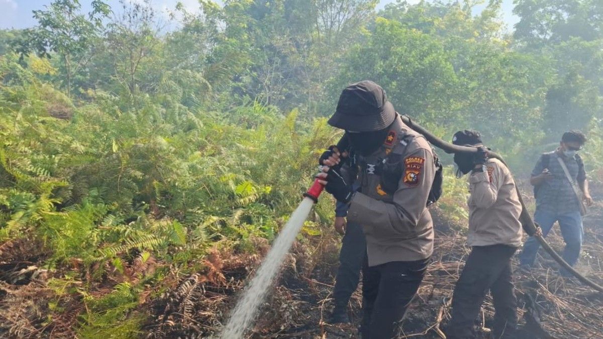 Pemprov Riau Kendalikan Kebakaran Hutan dengan Kolaborasi Satgas Karhutla