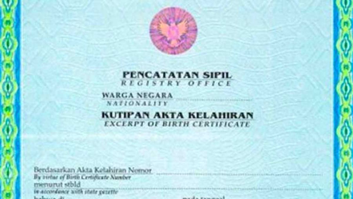 Pemerintah Permudah Pengurusan Akta Kelahiran Digital Melalui Aplikasi SATU SEHAT
