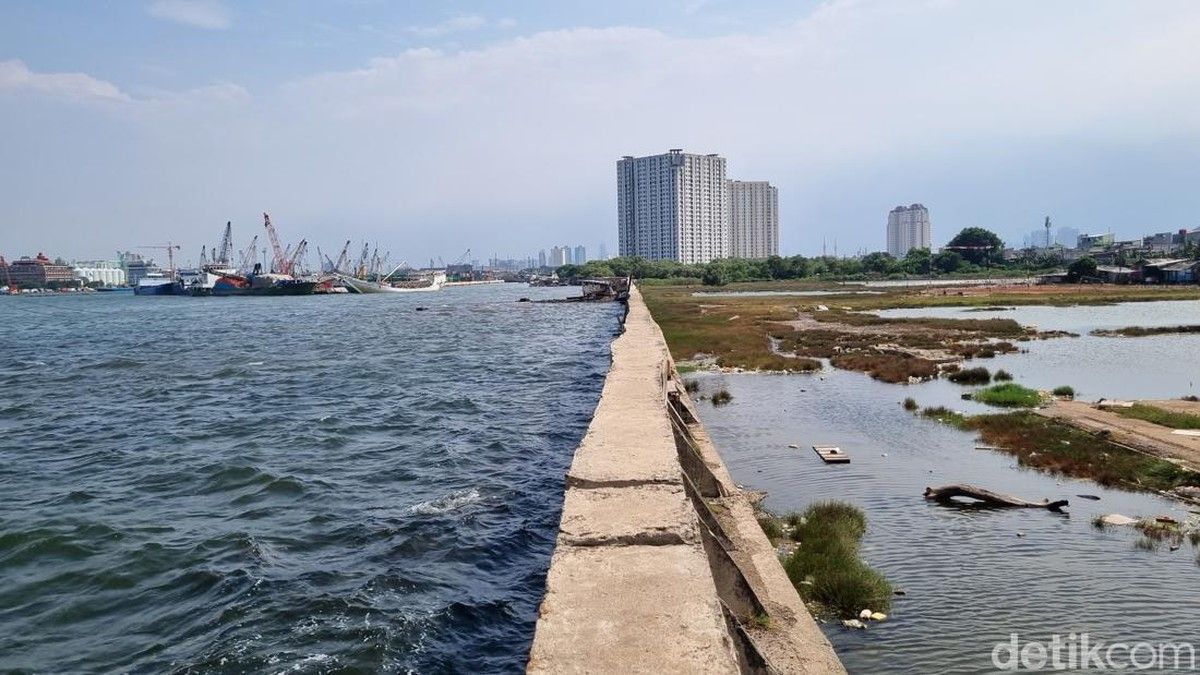 Tanggul Laut Muara Baru Rembes, Jalan Jadi Becek di Jakarta Utara
