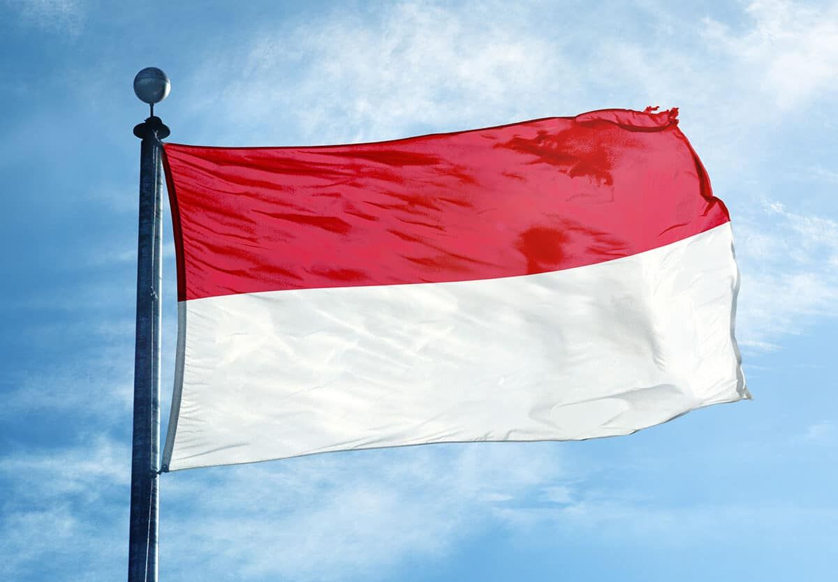 Indonesia Menerapkan Bentuk Negara Serikat Melalui RIS Tahun 1949