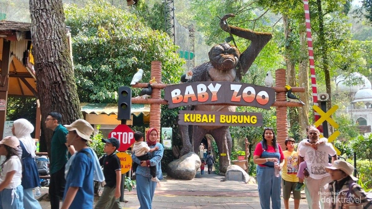 Taman Safari Bogor Sediakan Pengalaman Melihat Satwa Lengkap dan Edukatif