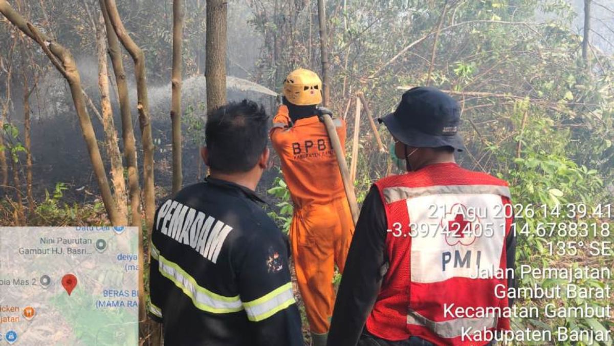 Kemenkes Ungkap Dampak Kesehatan Karhutla di NTT dan Kalimantan