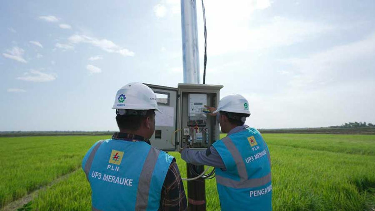 Pakar UGM Dorong Perampingan Anak Usaha PLN Sesuai Arahan Presiden