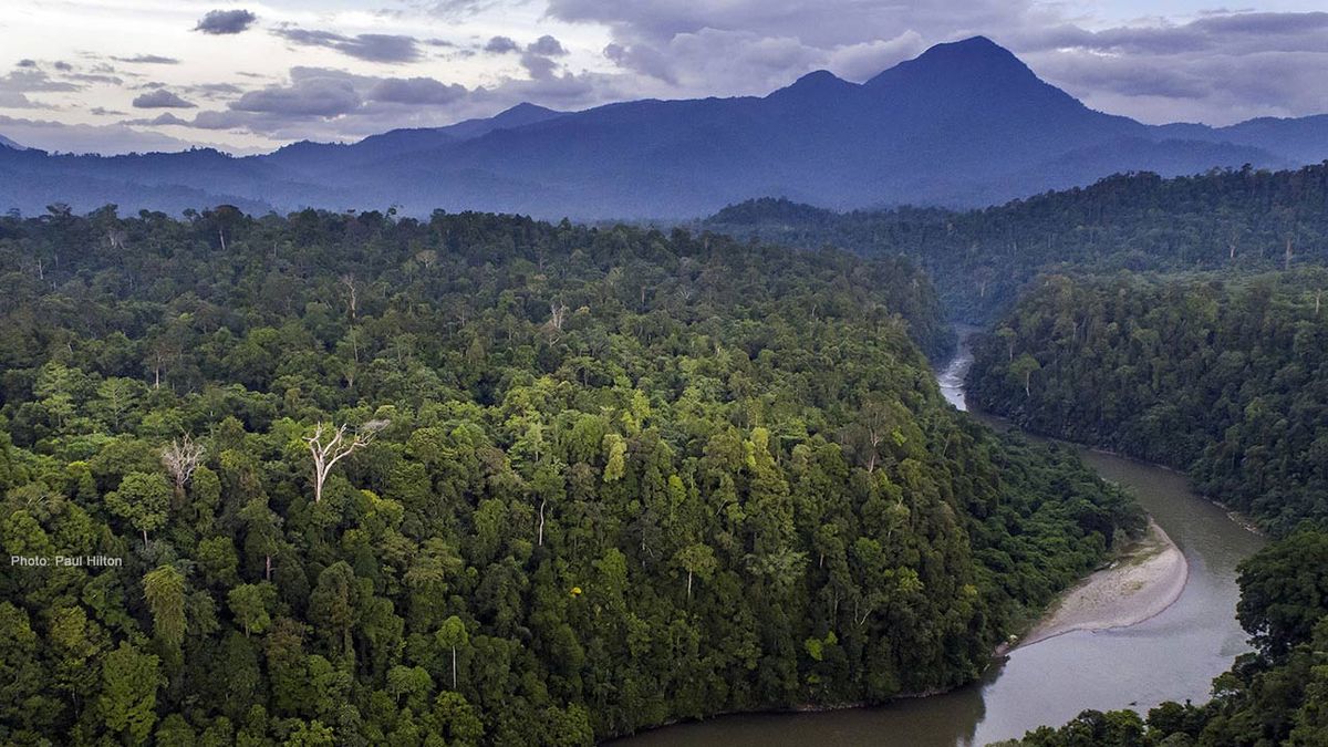 Mengenal Habitat: Tempat Hidup Organisme dan Perannya Saat Ini