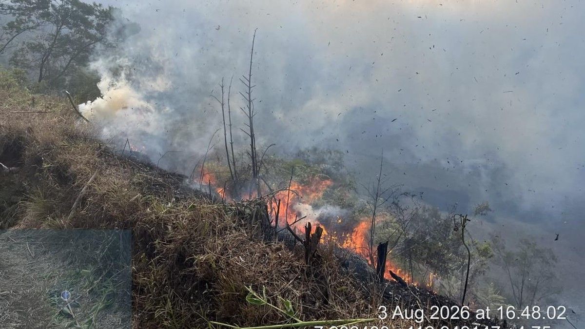 Kebakaran Hutan Meluas di Gunung Bromo hingga Probolinggo