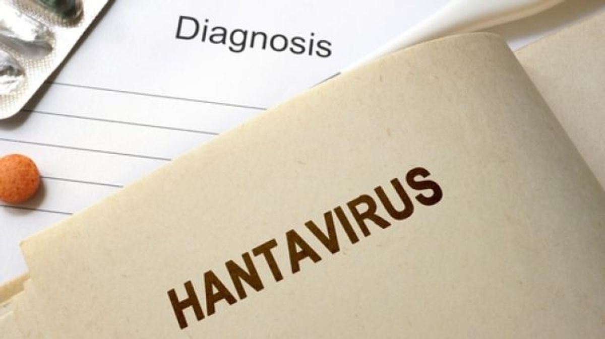 Dinas Kesehatan DKI Konfirmasi 4 Kasus Hantavirus di 2026