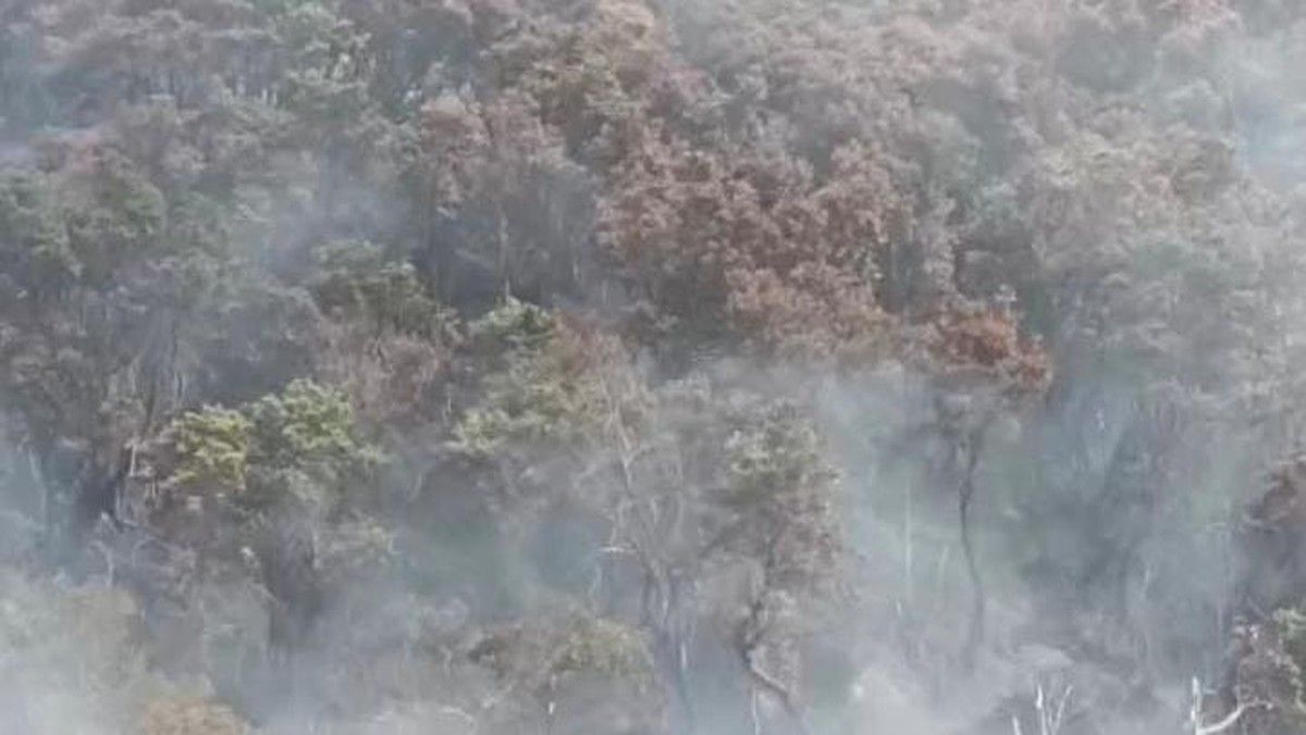 Kebakaran Lahan Meluas di Kawah Wadon Gunung Gede Pangrango