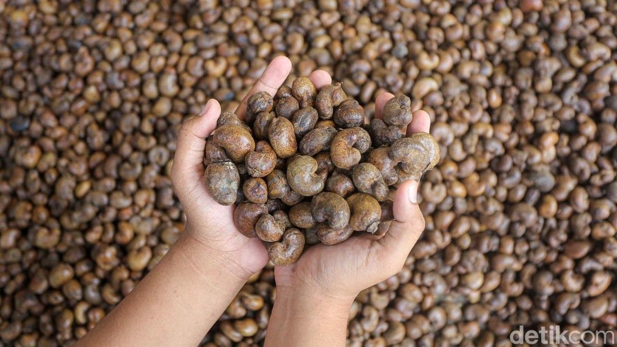 Wamenperin Sebut India Minta Indonesia Perbesar Ekspor Produk Agro
