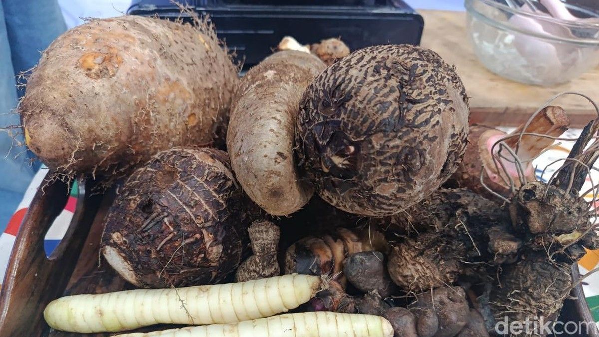 Ibu Kimpul Dorong Pengenalan Umbi Lokal sebagai Alternatif Karbohidrat Bebas Gluten