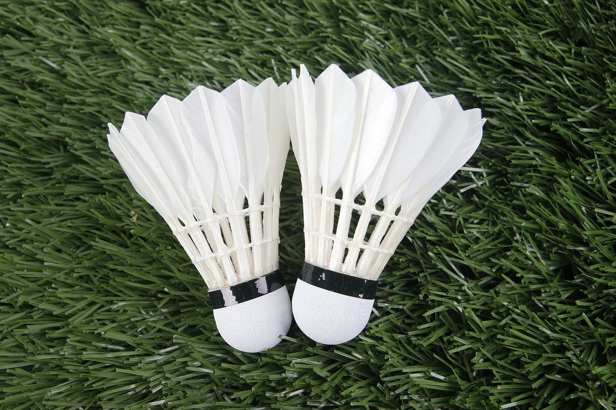 Bola dalam Permainan Bulu Tangkis Disebut dengan Istilah Shuttlecock