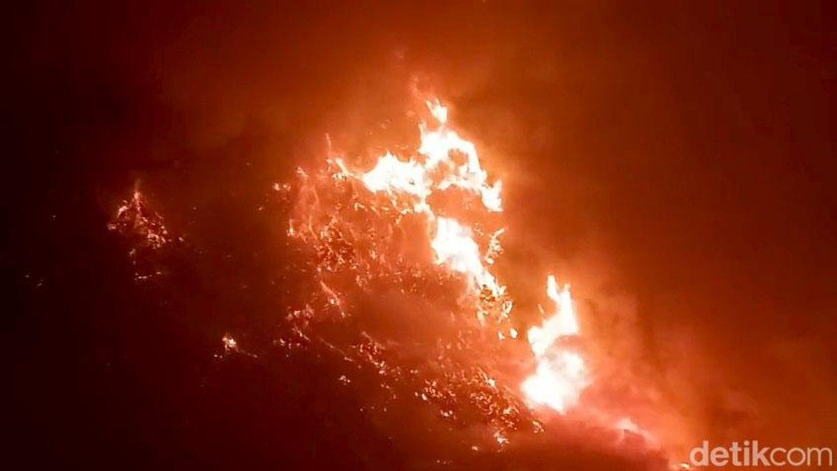 Kebakaran Hutan Melanda Gunung Bromo, Akses Wisata Ditutup Total
