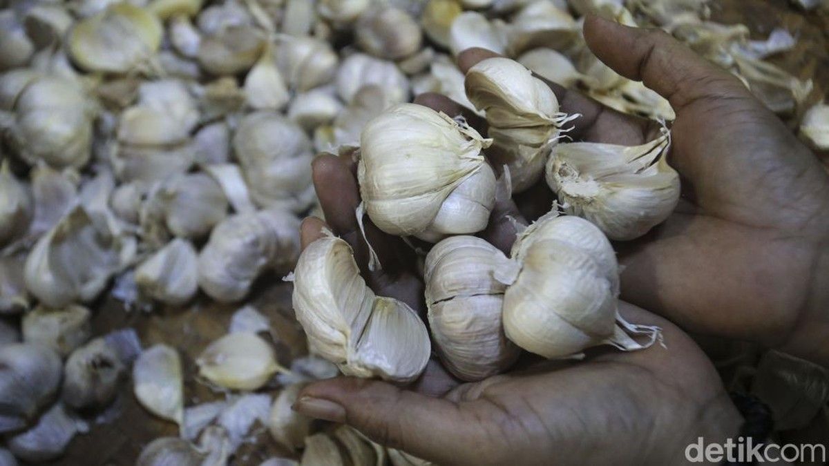 BPS Laporkan Impor Bawang Putih Naik Hingga Juni 2026