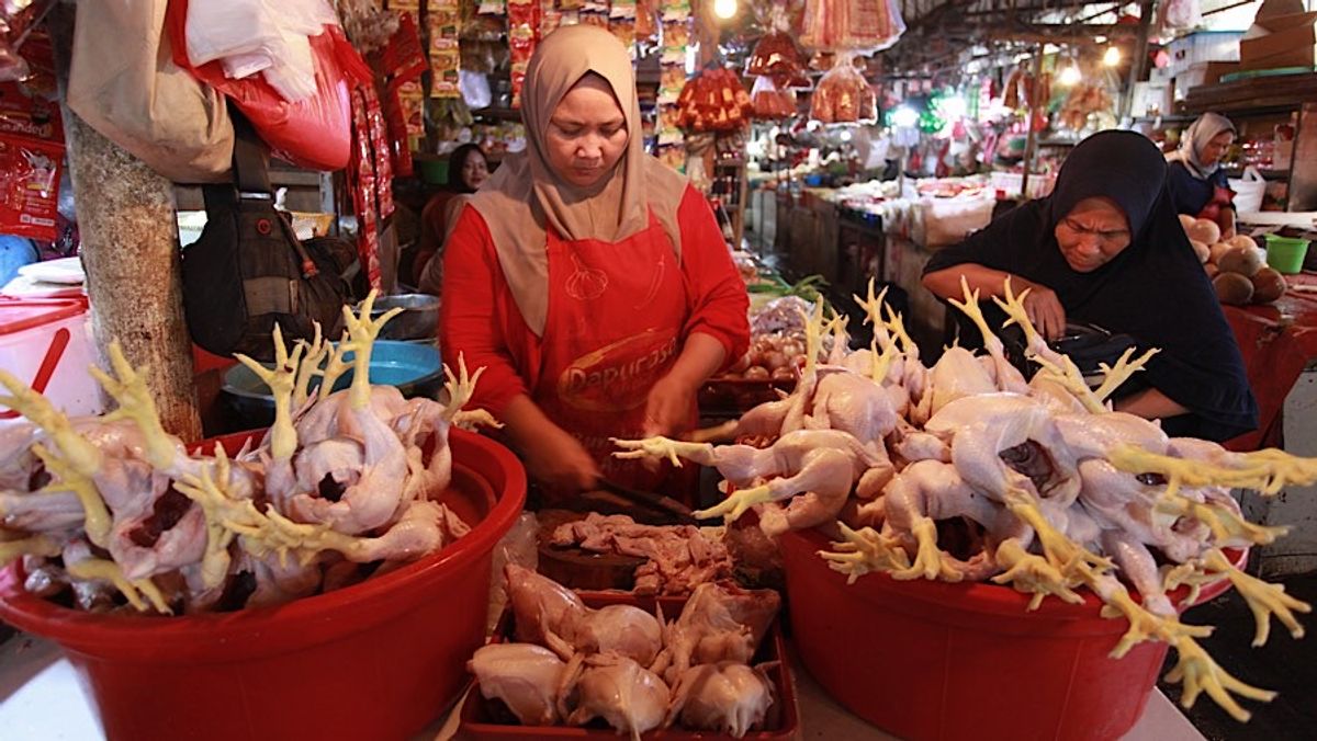 BPS Catat Kenaikan Harga Daging Ayam Ras di 188 Wilayah Indonesia
