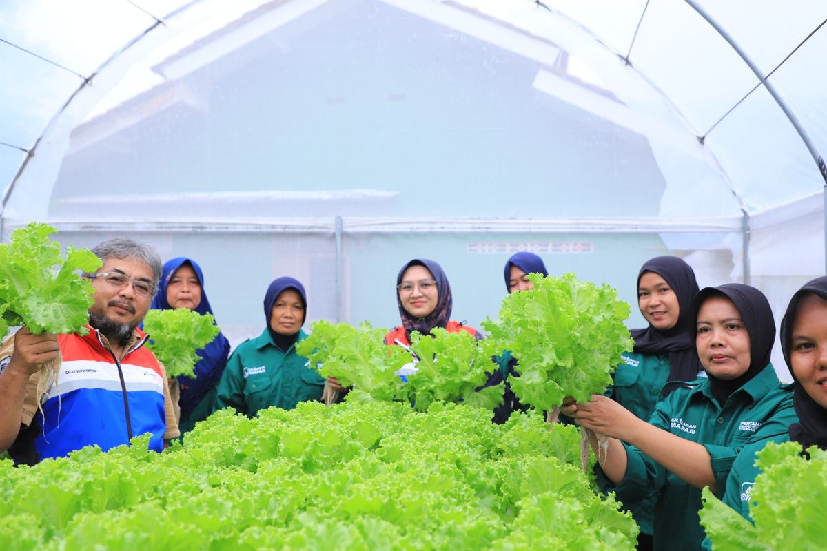 Salah Satu Tujuan Modifikasi Pangan untuk Ketahanan dan Kualitas Makanan