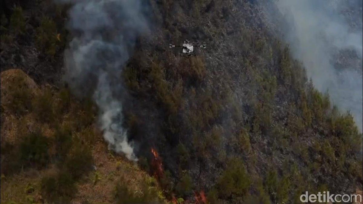 Kebakaran Lahan 176 Hektare Terjadi di Gunung Bromo Jawa Timur