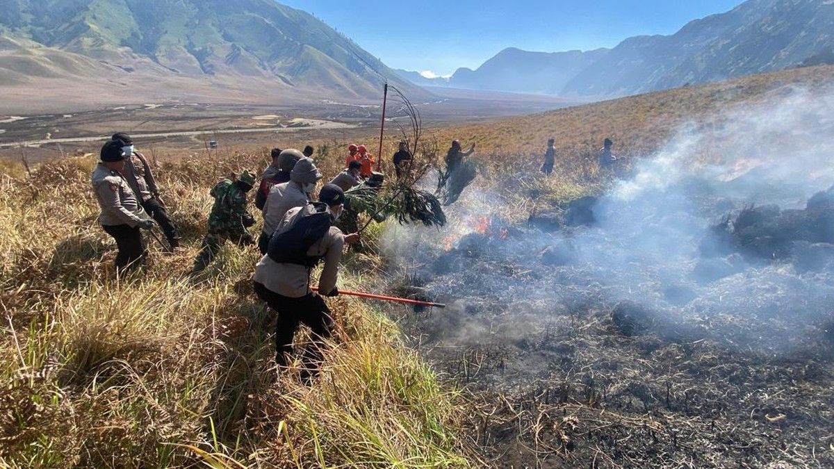 Petugas Padamkan Kebakaran Hutan di Taman Nasional Bromo Tengger Semeru