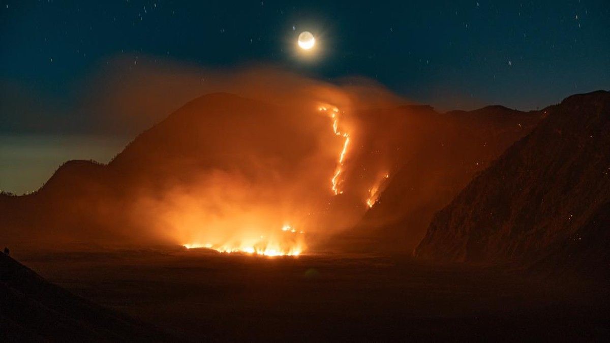 Kebakaran Lahan 176 Hektare Terjadi di Kawasan Gunung Bromo