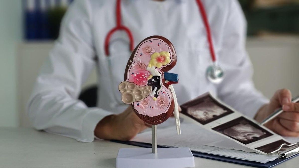 Hipertensi Merusak Ginjal Secara Diam-Diam Tanpa Gejala Nyata