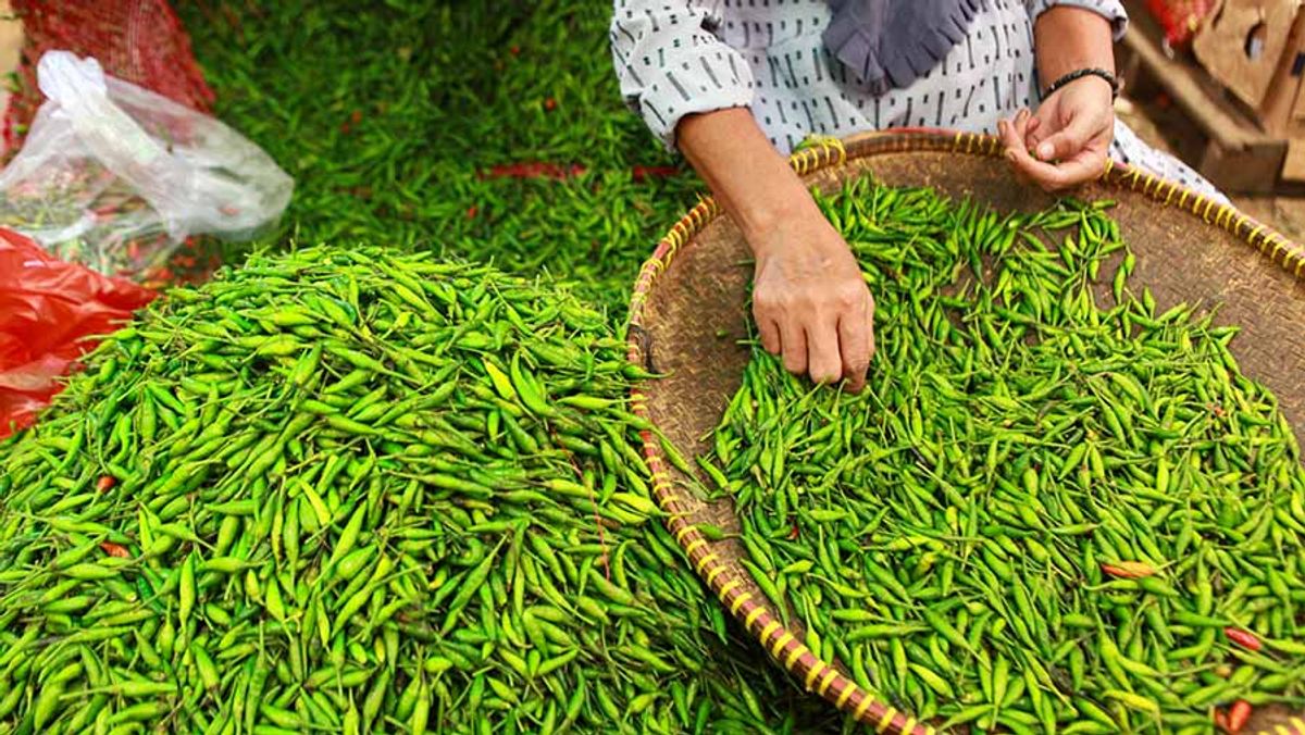 Harga Pangan Naik di Berbagai Komoditas, Bapanas Lakukan Antisipasi