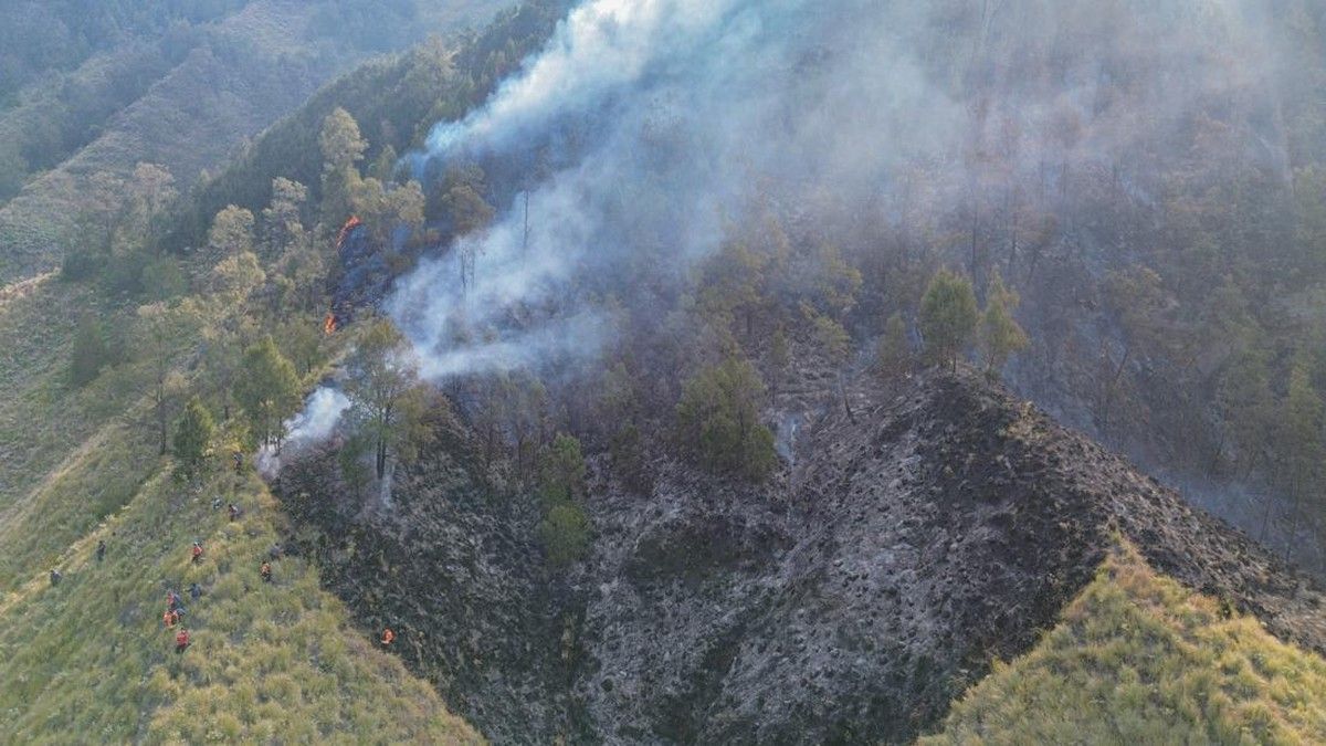 Satgas Gabungan Padamkan Karhutla di Taman Nasional Bromo Tengger Semeru
