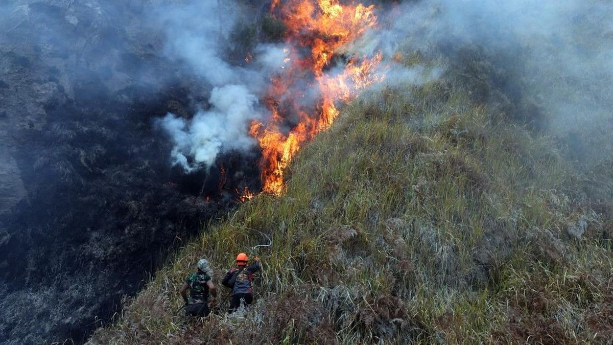Kebakaran Hutan di Taman Nasional Bromo Tengger Semeru Hanguskan 942 Hektare Lahan