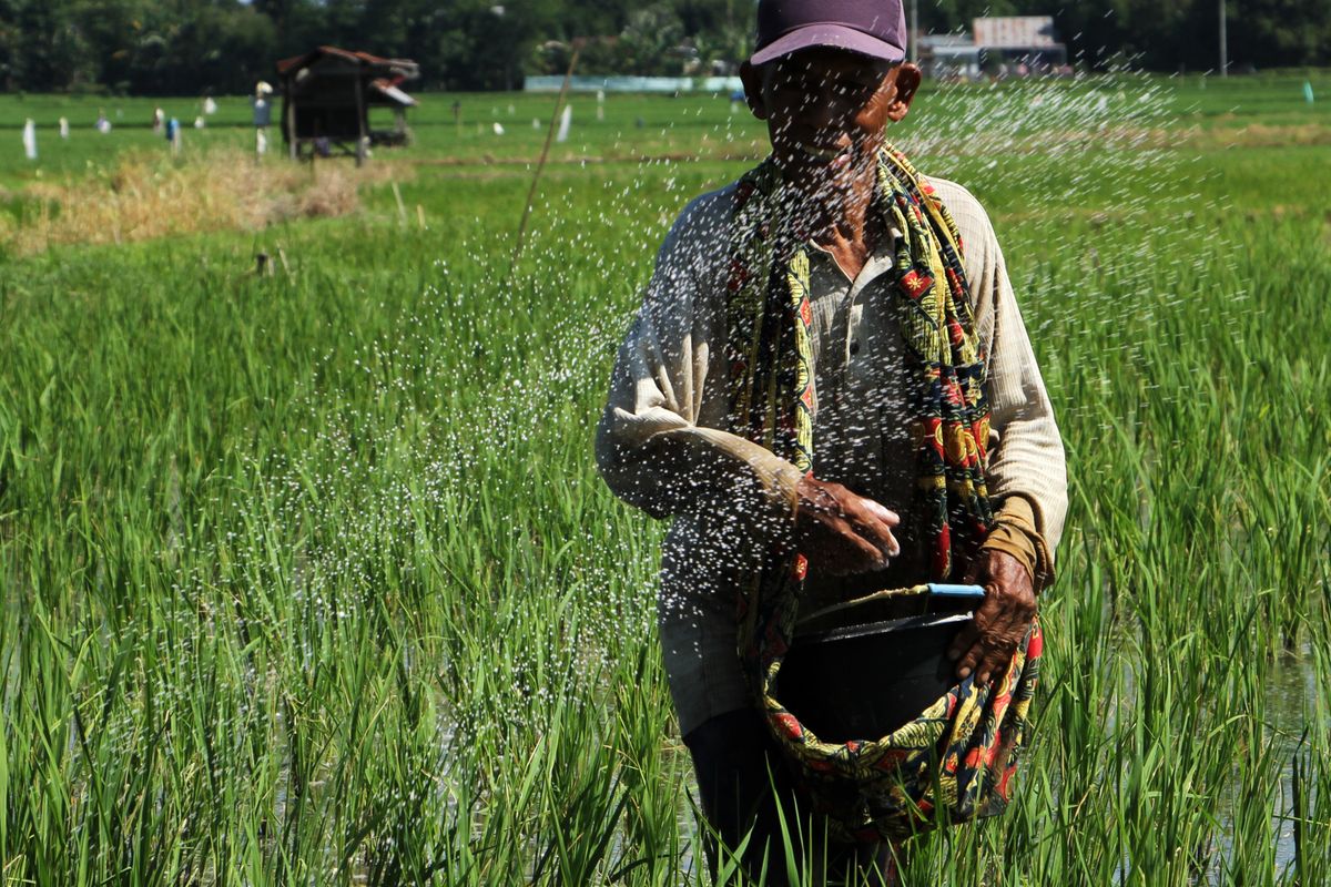 Contoh Peranan Ilmu Kimia dalam Pertanian Tingkatkan Produktivitas 2026