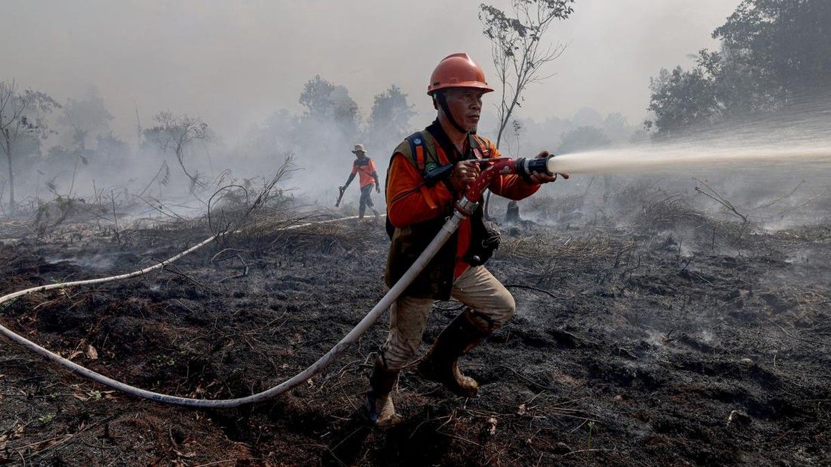 Kualitas Udara di Sarawak dan Malaysia Memburuk Akibat Asap Karhutla dari Kalimantan
