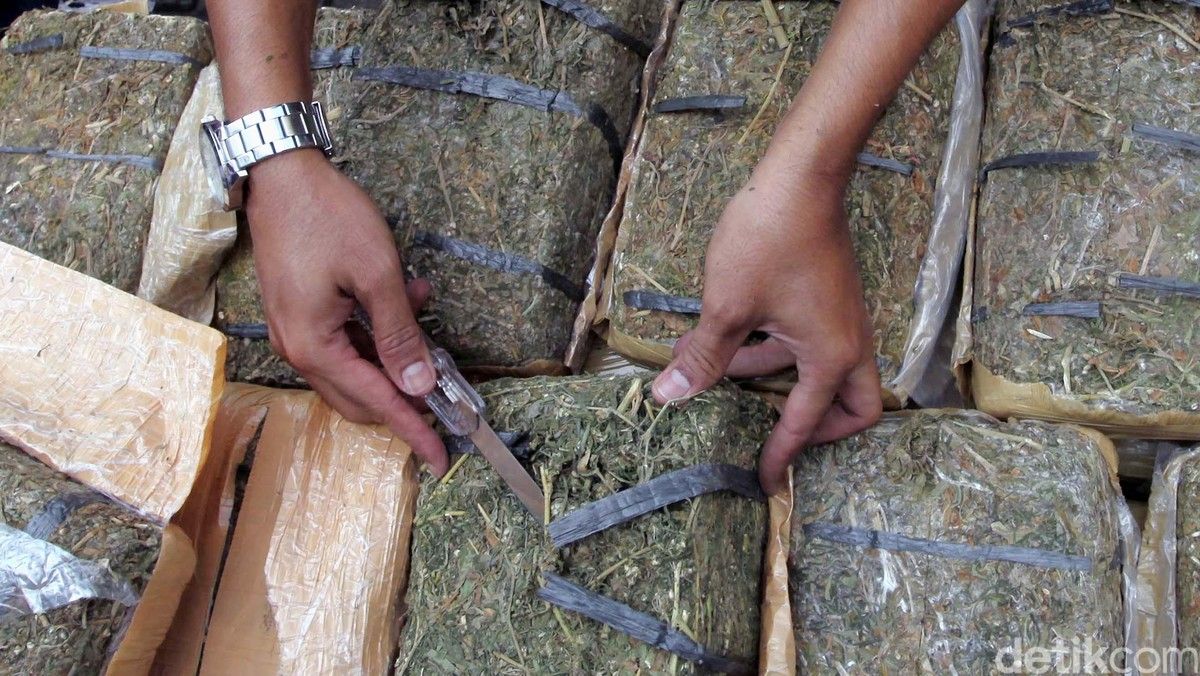 Polisi Bolivia Temukan 86 Kg Ganja di Bus Tim Sao Paulo Saat Copa Sudamericana