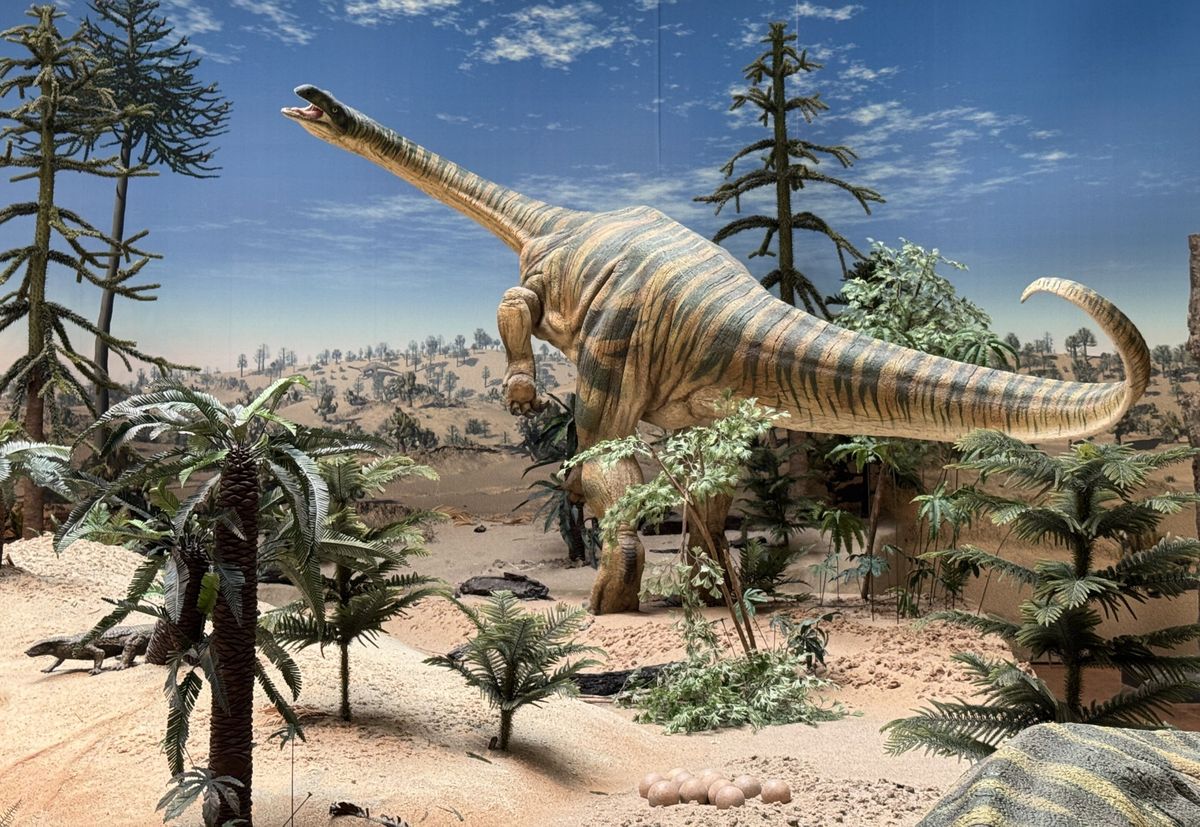 Kapan Dinosaurus Pertama Kali Muncul di Bumi? Fakta Lengkapnya