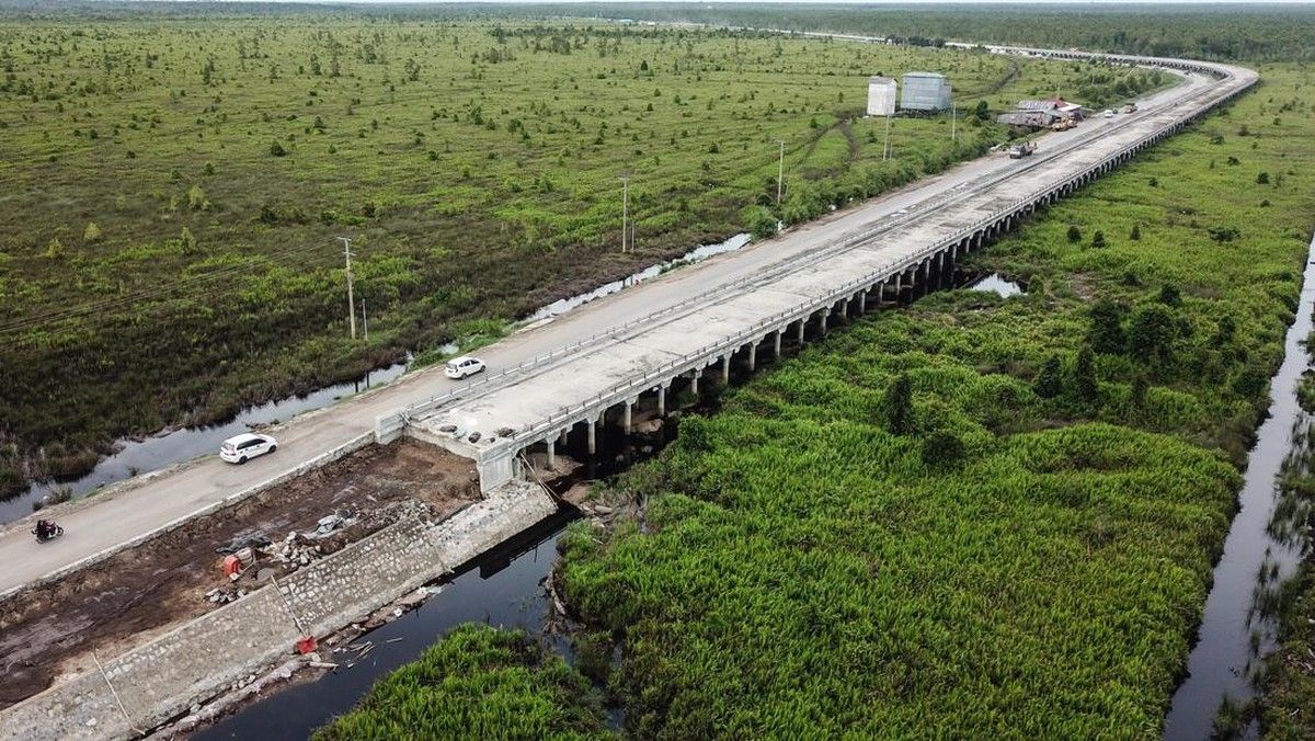 Pemerintah Jajaki Investor China dan Rusia untuk Jalur Kereta Trans Kalimantan