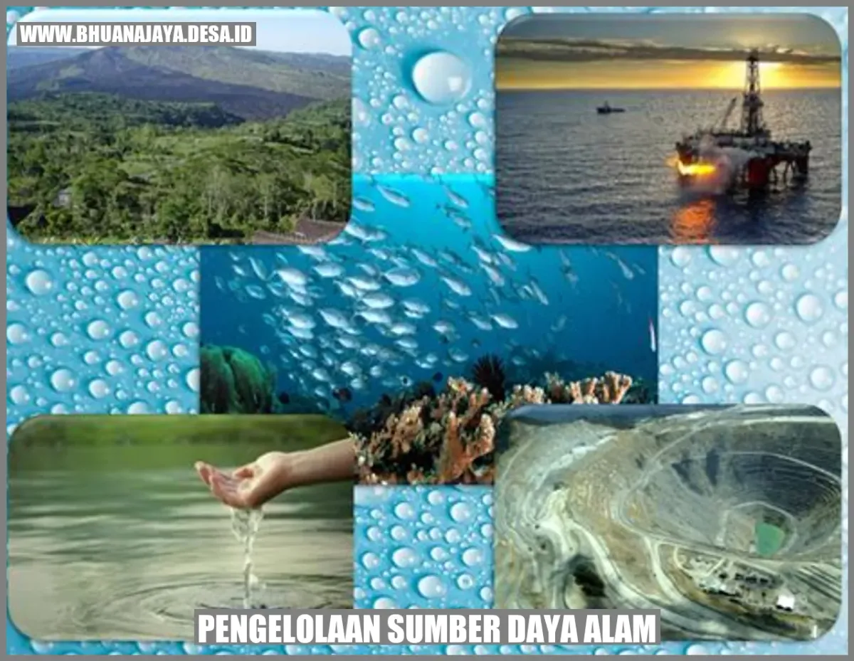 Pertumbuhan Penduduk Menjadi Penyebab Utama Kelangkaan Sumber Daya Alam Saat Ini