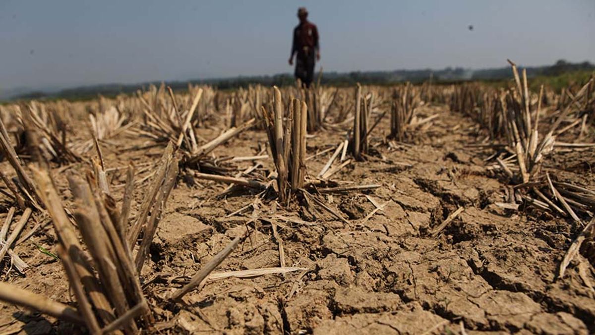 Pemerintah Fokuskan Stimulus Air Bersih dan Pompanisasi Hadapi Kekeringan El Niño
