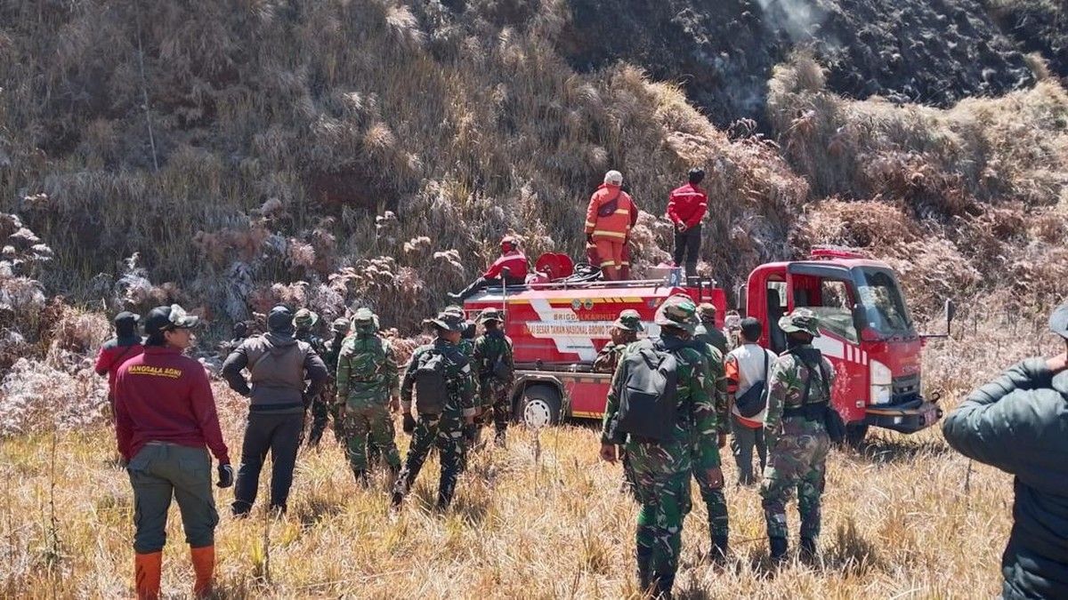 Kebakaran Hutan di Taman Nasional Bromo Tengger Semeru Padam Setelah 12 Hari