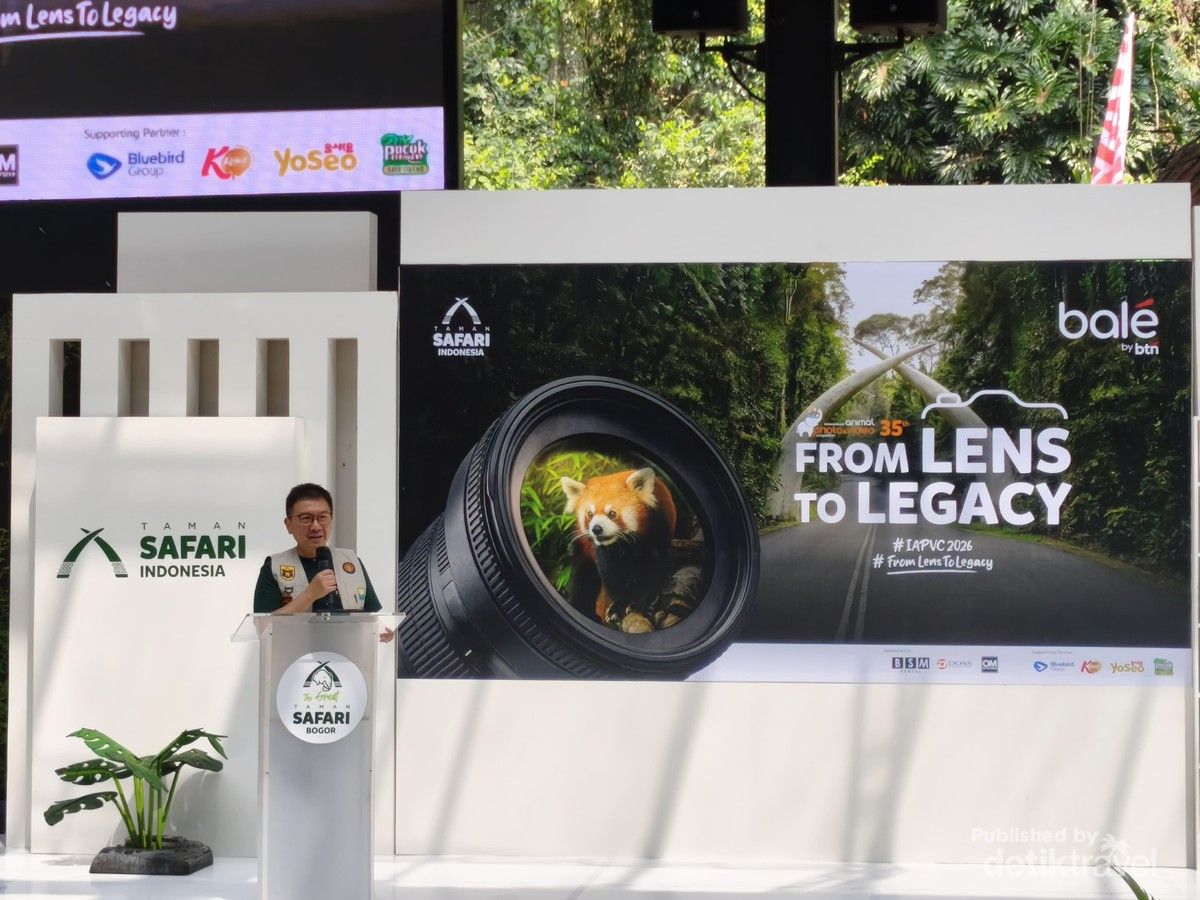 IAPVC 2026 Gelar Kompetisi Fotografi Satwa di Taman Safari Bogor