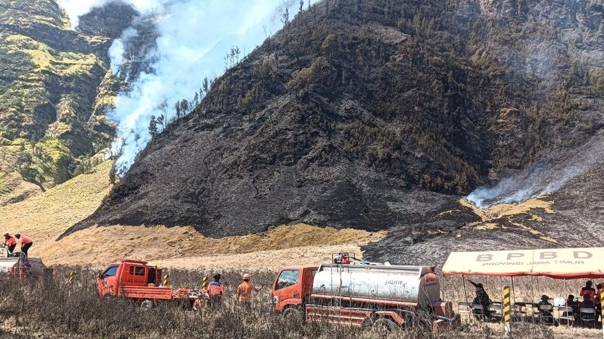 Kebakaran Meluas di Gunung Bromo, Akses Wisata Ditutup Sementara