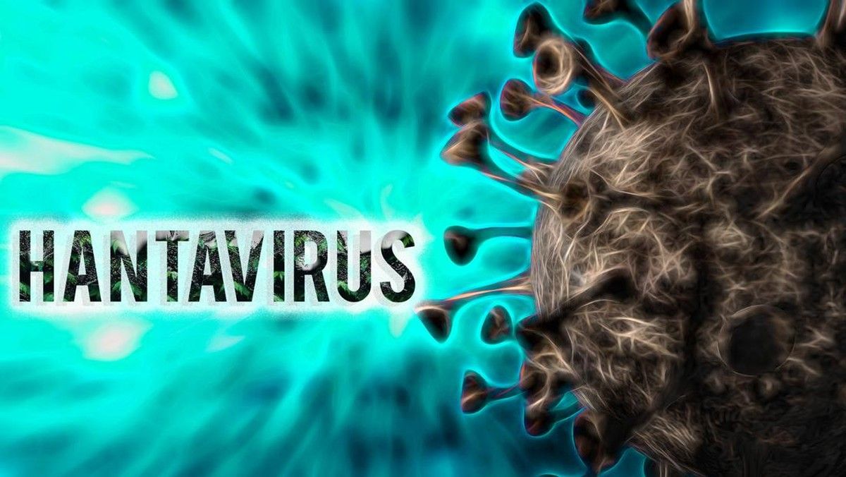 Warga Prancis-Argentina Terinfeksi Hantavirus Varian Andes di Prancis