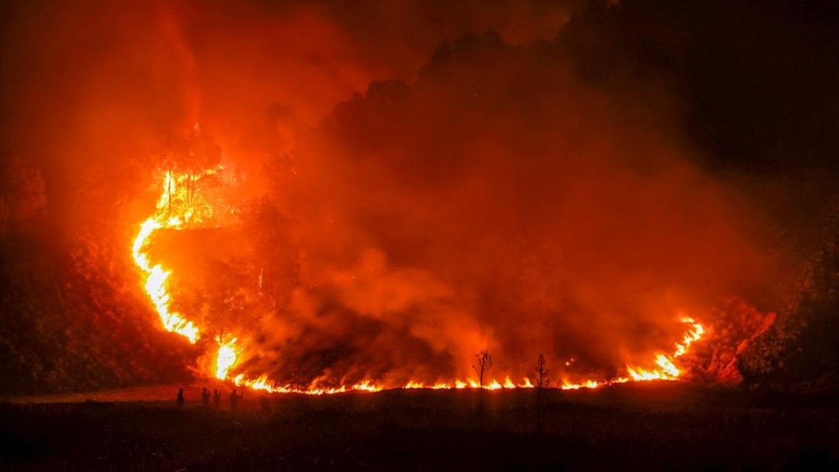 Kebakaran Hutan di Taman Nasional Bromo Tengger Semeru Meluas, Akses Wisata Ditutup
